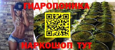 соль ск Пугачёв