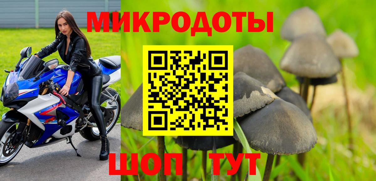 Галлюциногенные грибы Psilocybine cubensis  Псилоцибиновые грибы прущие грибы  цена наркотик  Советская Гавань  Вход с VPN 