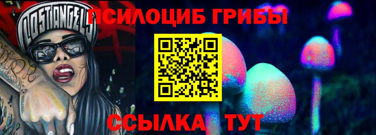 Галлюциногенные грибы прущие грибы Советская Гавань